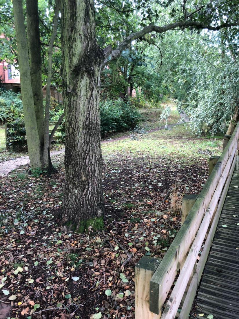 0C752C7D-8FF3-41B3-9ECF-24D025A6224D